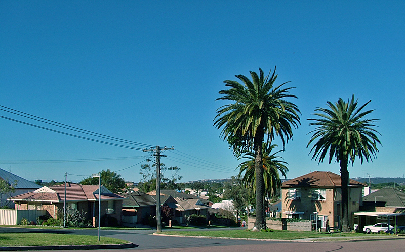 A street in Mayfield, Newcastle